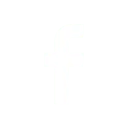 Bikaner Escorts on facebook